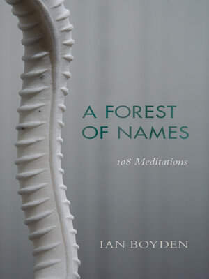 cover image of A Forest of Names